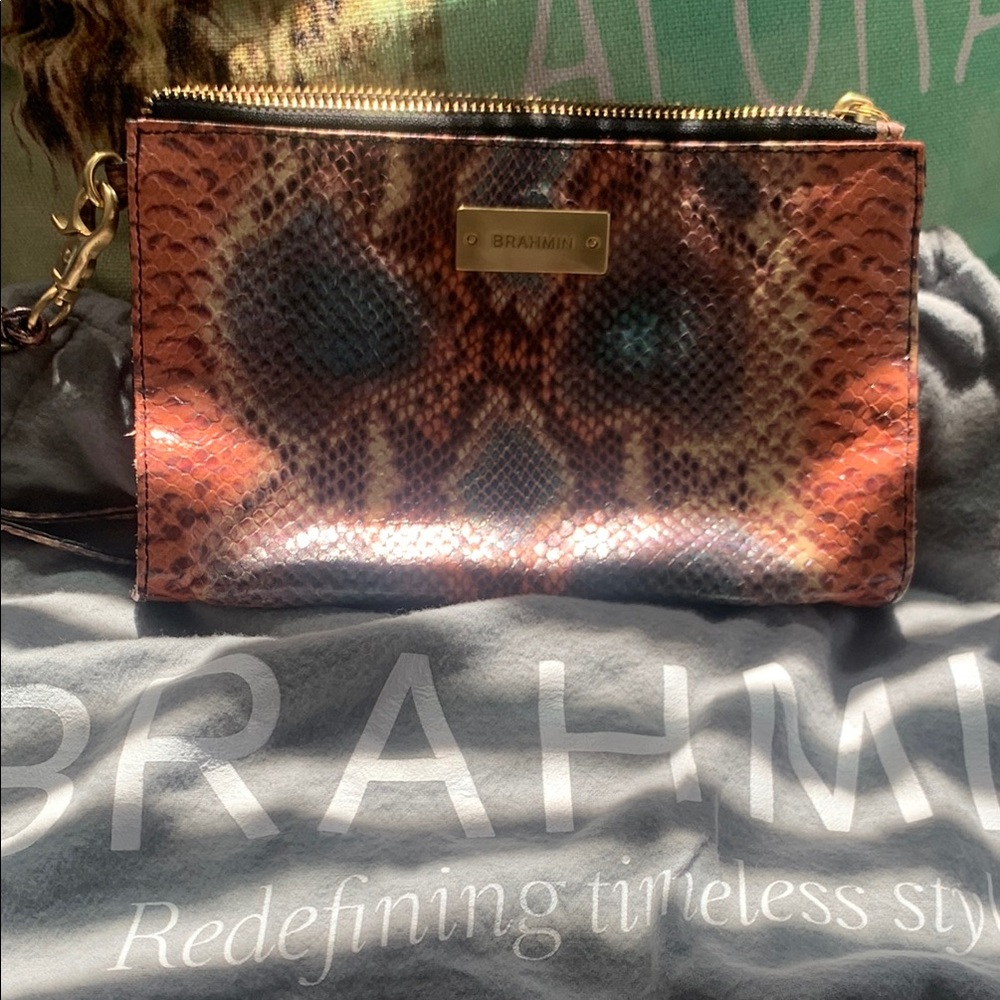Brahmin Brown Clutch with Exotic Texture